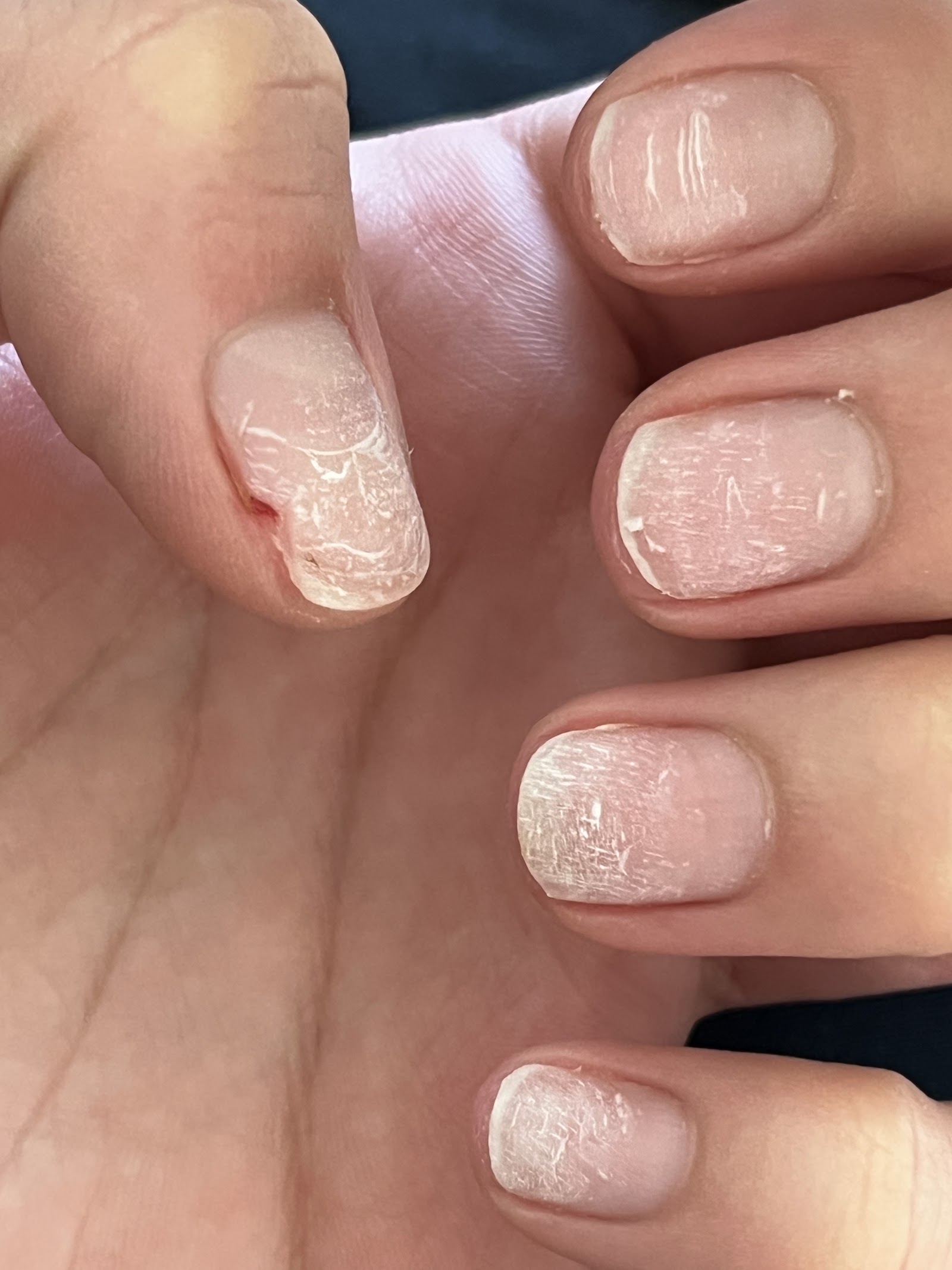 Java Nails and Spa nail photo 6